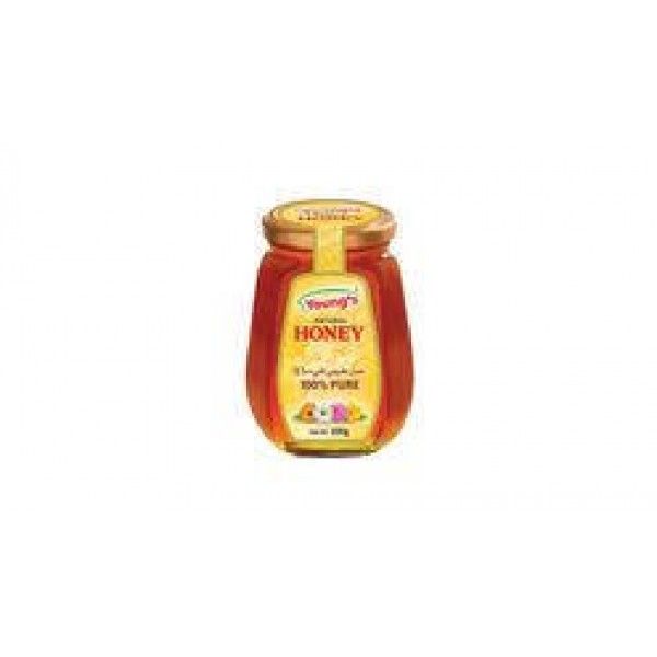 YOUNG`S BEE HIVES NATURAL HONEY 170G BOTTLE
